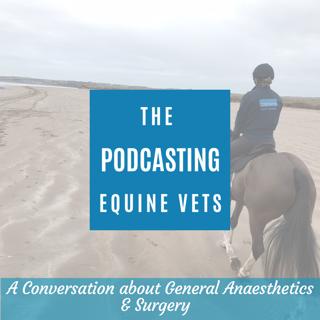 A Conversation About General Anaesthetics & Surgery