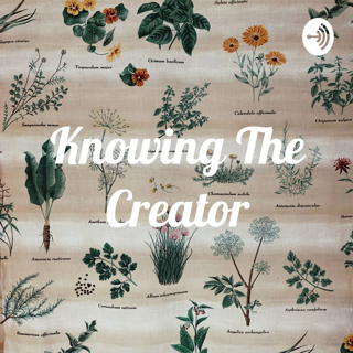 Understanding the interest of the creator God Almighty in our lives.