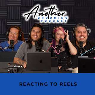Reacting to Reels