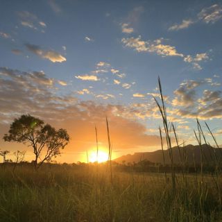 Australian Dawn Chorus - 10 Hours Sleep Sound