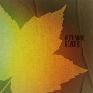 Autumn Forest Ambience • Windy Leaves & Fall Nature Sounds for Relaxation, Sleep & Study