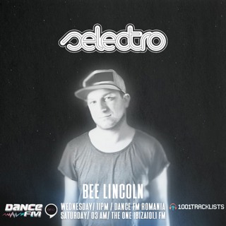 Selectro Podcast #271 w/ Bee Lincoln