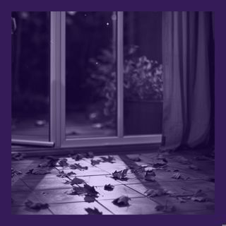 Rental House of Horrors