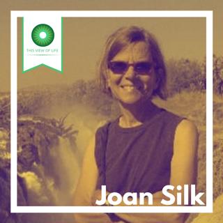 Evolution Doesn't Make Everything Nice: A conversation about primate societies with Joan Silk.