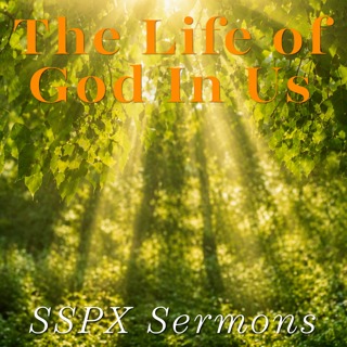 The Life of God in Us – SSPX Sermons
