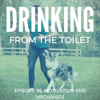 #96: Motivation and Mechanics