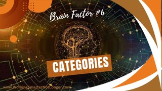 Brain Factor #6 - Categories