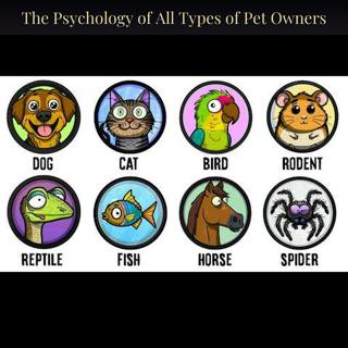The Psychology of All Types of Pet Owners