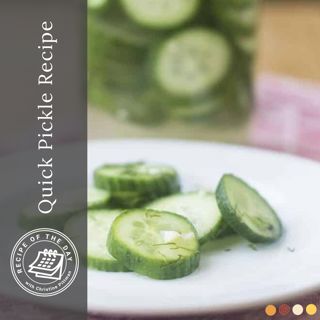 Quick Pickle Recipe