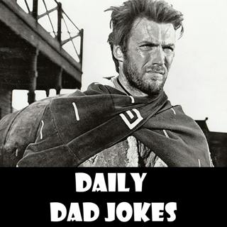 I called my pet termite Clint | + 19 more jokes | 15 Nov 2022