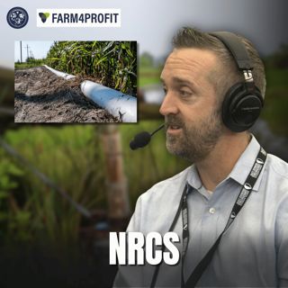 Unlocking NRCS Resources: Drainage, Conservation & More