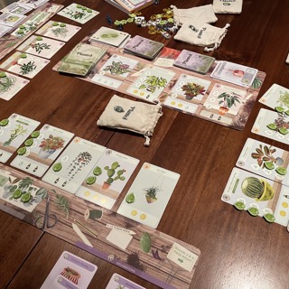 Episode 9: My Coast and Plants