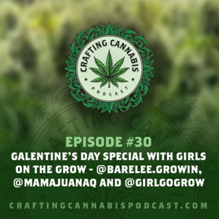 #30 - Galentine's Day Special with Girls on the Grow - @barelee.growin, @mamajuanaq and @girlgogrow
