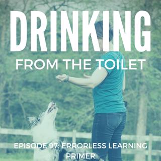 #97: Errorless Learning Primer