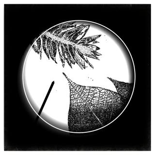 The Botanist