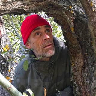 Rätt att uttrycka sin mening