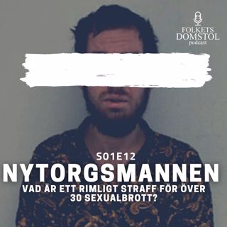 S01E12 - Nytorgsmannen. "Vad är ett rimligt straff för över 30 sexualbrott?" Del 1/2