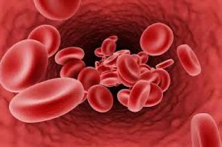 Podcast 562: COVID-19 Occlusions