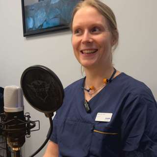 Er du flink nok til å ta vare på hundens tenner?