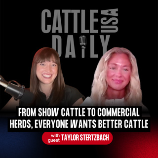 351: From Show Cattle to Commercial Herds, Everyone Wants Better Cattle with Taylor Sterzbach