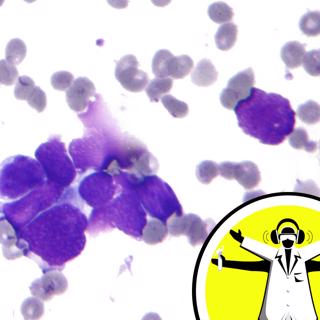 Cutting Edge in Cancer