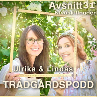 Avsnitt 31 - Nivåskillnader