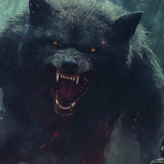 14 TRUE SCARY CRYPTIDS & PARK RANGER HORROR STORIES