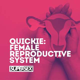 Quickie: The Female Reproductive System Demystified