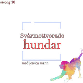 Svårmotiverade hundar