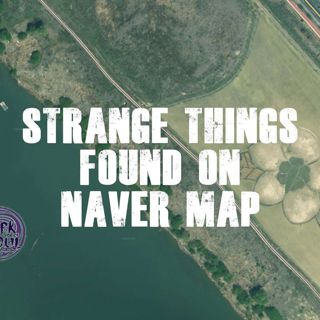 Strange Things Found on Naver Maps