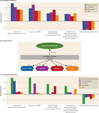 December 2019: Dimensions of Psychopathology and Brain Structure