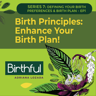 Birth Principles: Enhance Your Birth Plan!, with Jessie Harrold
