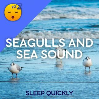 đŽđ Fall ASLEEP with SEAGULLS
