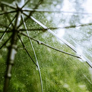 Light Rain On Umbrella: 3-Hour Calming Rain Sounds for Blissful Sleepiness
