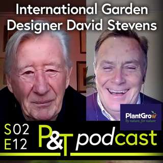 Keep Cyclamen & Poinsettia Perfect for Christmas & Hear from International Garden Designer David Stevens
