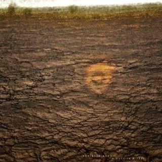 A Duck in a Tree 2025-03-15 | Borne on a Ray of Sound