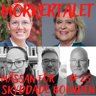 Att skyddas från våld - reportage från mässan för skyddade boenden