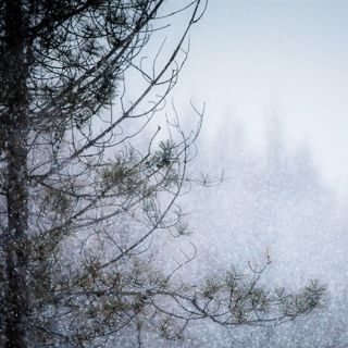 Snow Flurry: Winter ASMR - 10 Hours Sleep Sound