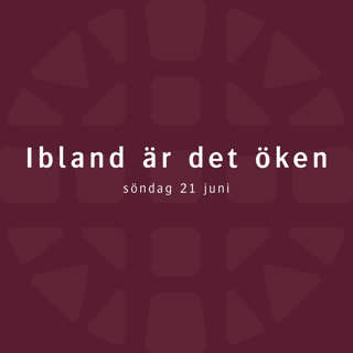 Ibland är det öken – Robert Eriksson