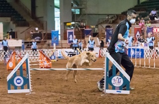 164: The Value of Outside Influence on Your Dog Agility Training