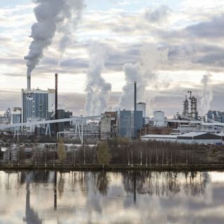 Skogsfredag #190 - Skogsägarföreningar i norr och Kemi samt naturrestaureingslag