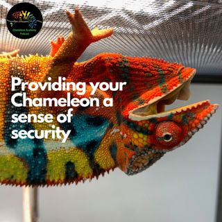 Security for Chameleons
