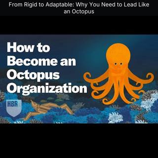 From Rigid to Adaptable: Why You Need to Lead Like an Octopus
