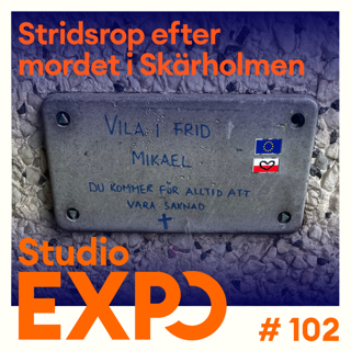 102. Stridsrop efter mordet i Skärholmen