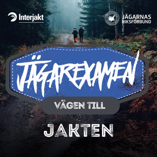 Vägen till Jägarexamen - Jakten