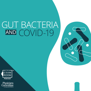 Gut Bacteria and COVID-19