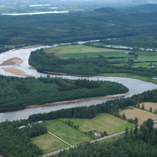 Klarälvens lastbilsåkande laxar och sandsvultna sällsyntheter
