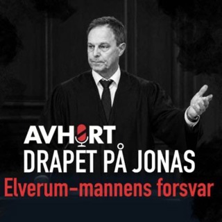Drapet på Jonas: Elverum-mannens forsvar