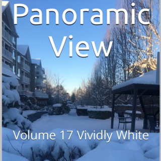 Panoramic View Volume 17 Vividly White by Daniel Lucas