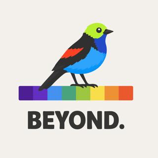 Okay, but why is a bird’s world more colorful?